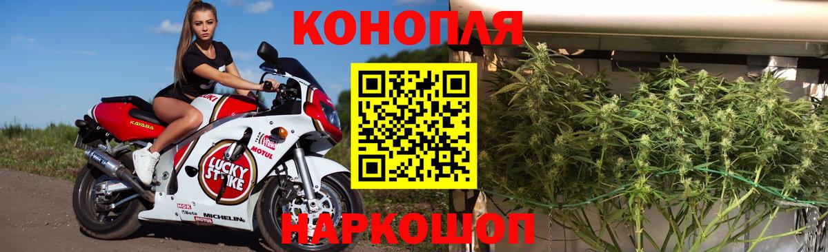 Сарапул  Бошки Шишки MAZAR  Канабис семена  Канабис Amnesia  Вход с VPN 